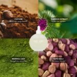 indē wild Moonlight Overnight Scalp Serum