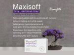 Maxisoft Skin Lightening Soap